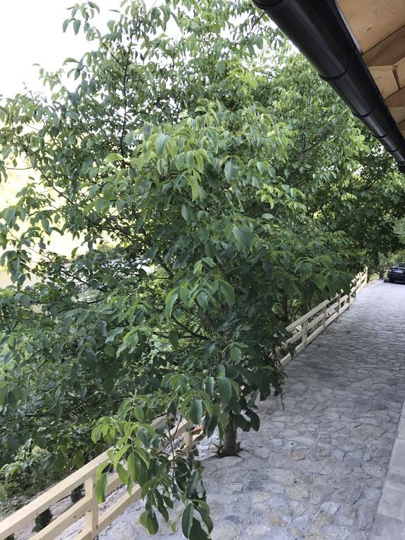 6 New River View Apartments Bihać Buitenkant foto